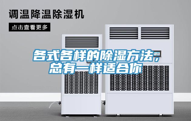 各式各樣的除濕方法，總有一樣適合你