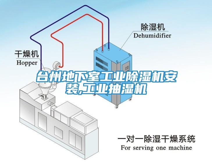 台州地下室工業黄瓜视频在线播放安裝,工業抽濕機