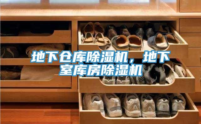 地下倉庫黄瓜视频在线播放，地下室庫房黄瓜视频在线播放