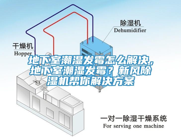 地下室潮濕發黴怎麽解決，地下室潮濕發黴？新風黄瓜视频在线播放幫你解決方案