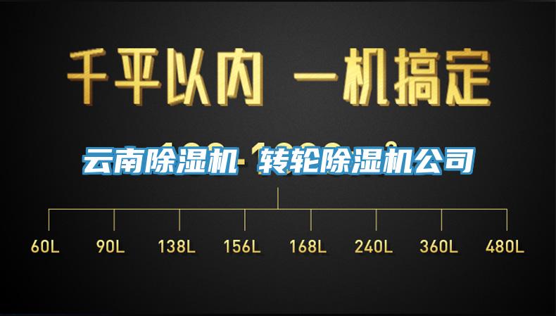 雲南黄瓜视频在线播放 轉輪黄瓜视频在线播放公司