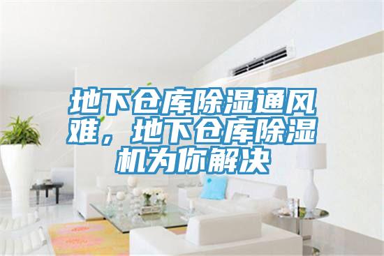 地下倉庫除濕通風難，地下倉庫黄瓜视频在线播放為你解決