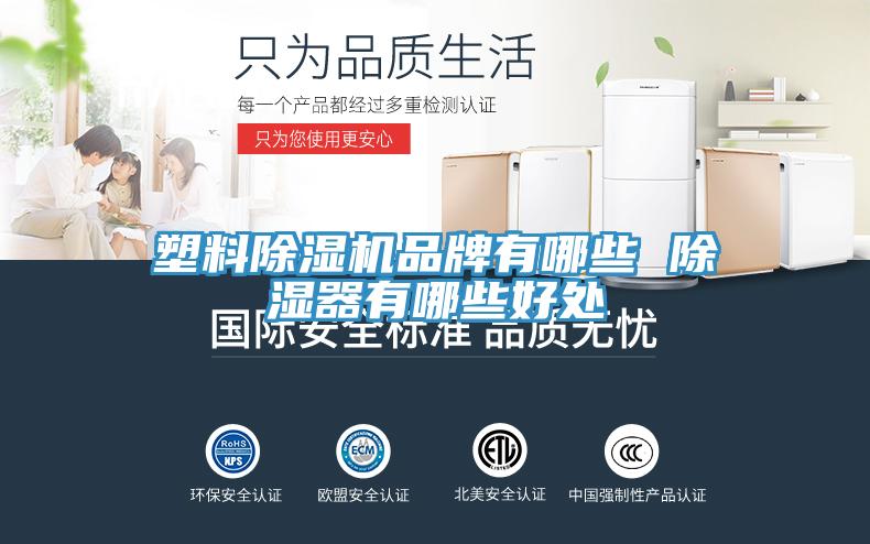 塑料黄瓜视频在线播放品牌有哪些 除濕器有哪些好處