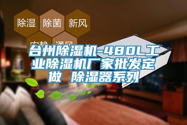 台州黄瓜视频在线播放-480L工業黄瓜视频在线播放廠家批發定做 除濕器係列