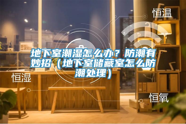 地下室潮濕怎麽辦？防潮有妙招（地下室儲藏室怎麽防潮處理）