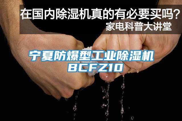 寧夏防爆型工業黄瓜视频在线播放 BCFZ10