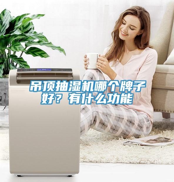 吊頂抽濕機哪個牌子好？有什麽功能