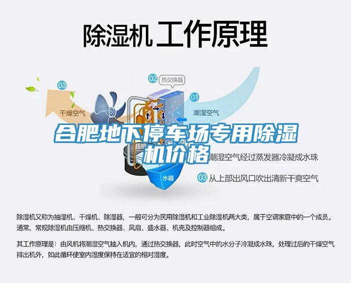 合肥地下停車場專用黄瓜视频在线播放價格