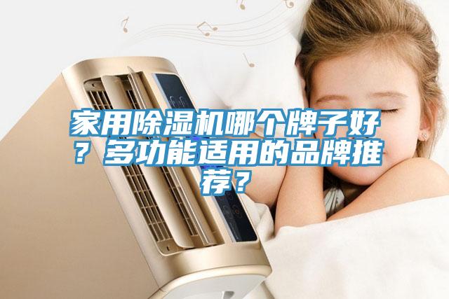 家用黄瓜视频在线播放哪個牌子好？多功能適用的品牌推薦？