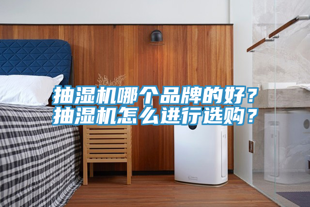 抽濕機哪個品牌的好？抽濕機怎麽進行選購？