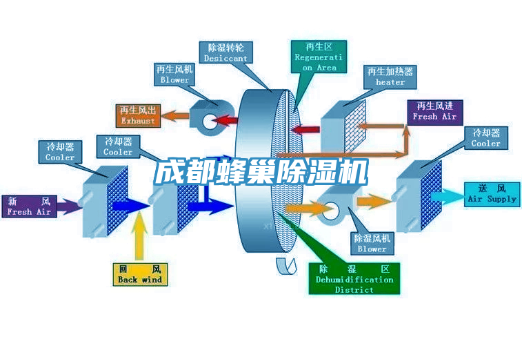 成都蜂巢黄瓜视频在线播放