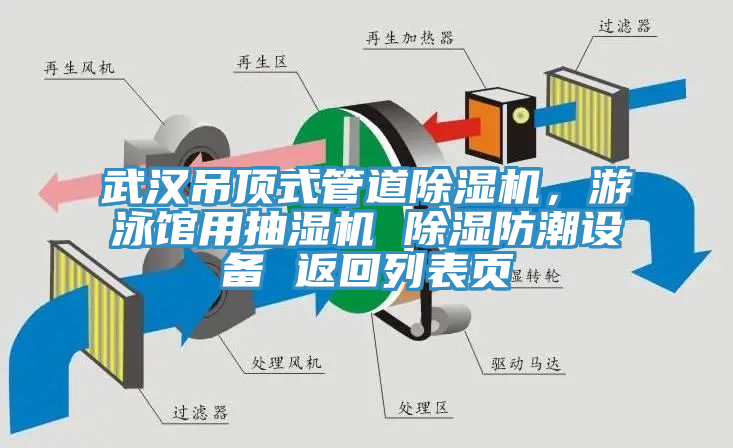 武漢吊頂式管道黄瓜视频在线播放，遊泳館用抽濕機 除濕防潮設備 返回列表頁