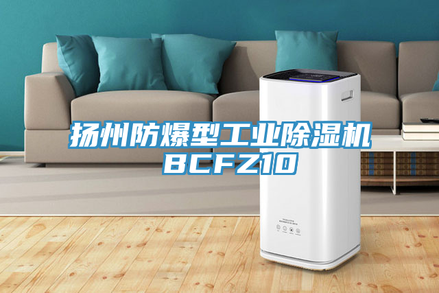 揚州防爆型工業黄瓜视频在线播放 BCFZ10