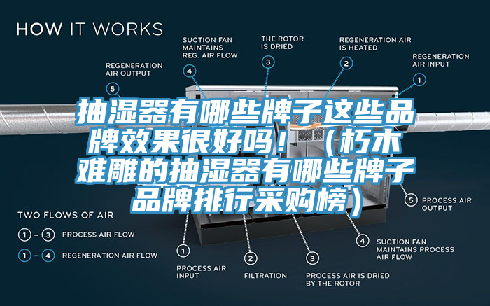 抽濕器有哪些牌子這些品牌效果很好嗎！（朽木難雕的抽濕器有哪些牌子品牌排行采購榜）