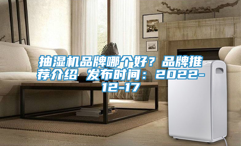 抽濕機品牌哪個好？品牌推薦介紹 發布時間：2022-12-17