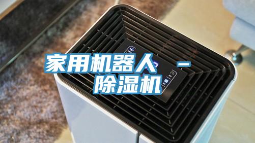 家用機器人 – 黄瓜视频在线播放