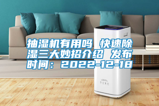 抽濕機有用嗎 快速除濕三大妙招介紹 發布時間：2022-12-18