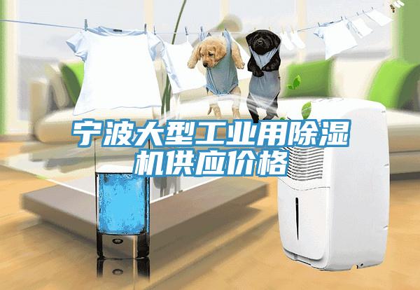 寧波大型工業用黄瓜视频在线播放供應價格