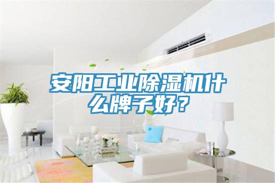 安陽工業黄瓜视频在线播放什麽牌子好？