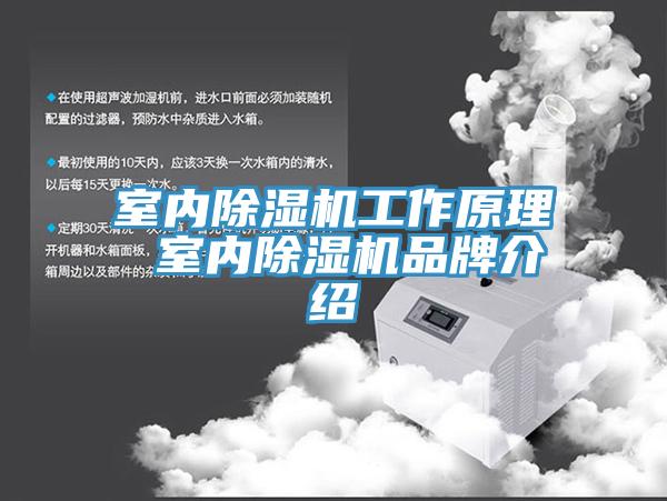 室內黄瓜视频在线播放工作原理 室內黄瓜视频在线播放品牌介紹