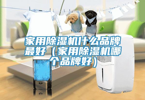 家用黄瓜视频在线播放什麽品牌最好（家用黄瓜视频在线播放哪個品牌好）