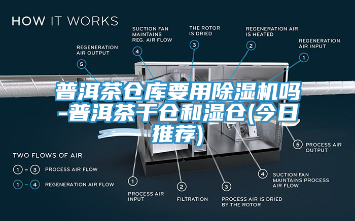 普洱茶倉庫要用黄瓜视频在线播放嗎-普洱茶幹倉和濕倉(今日推薦)