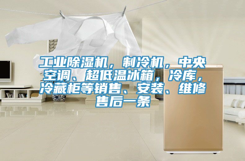 工業黄瓜视频在线播放，製冷機，中央空調、超低溫冰箱，冷庫，冷藏櫃等銷售、安裝、維修售後一條