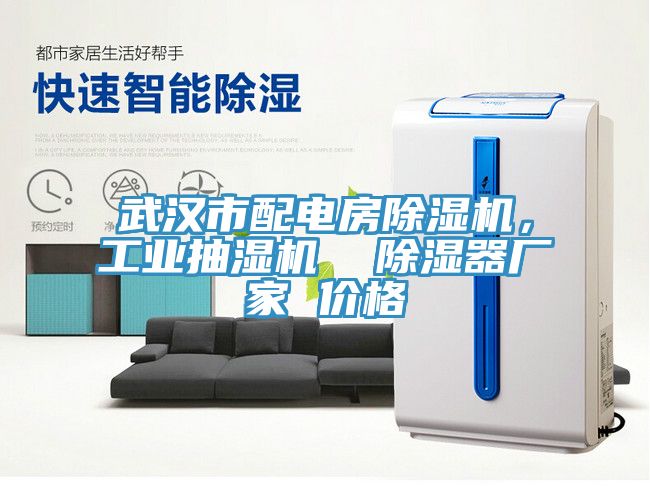 武漢市配電房黄瓜视频在线播放，工業抽濕機  除濕器廠家 價格