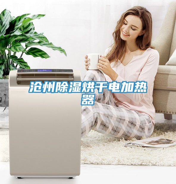 滄州除濕烘幹電加熱器