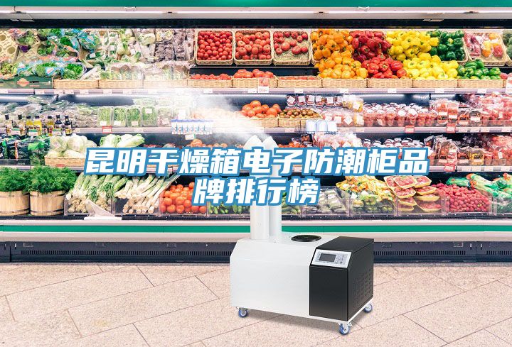 昆明幹燥箱電子防潮櫃品牌排行榜