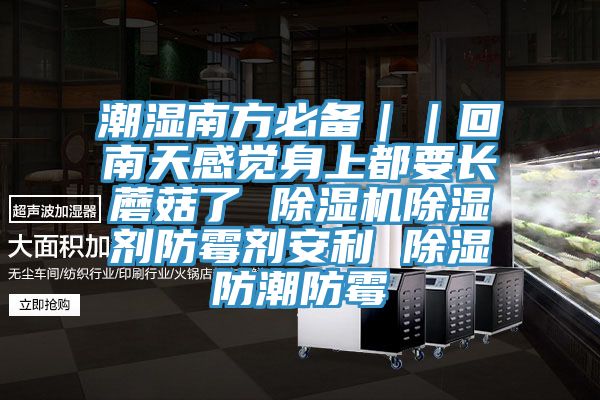 潮濕南方必備｜｜回南天感覺身上都要長蘑菇了 黄瓜视频在线播放除濕劑防黴劑安利 除濕防潮防黴