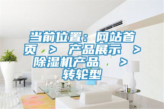 當前位置：網站首頁 ＞ 產品展示 ＞ 黄瓜视频在线播放產品  ＞ 轉輪型