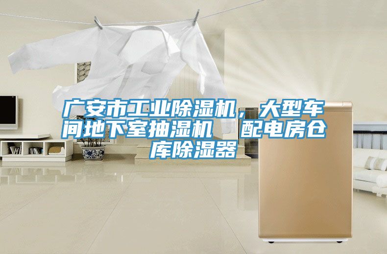 廣安市工業黄瓜视频在线播放，大型車間地下室抽濕機  配電房倉庫除濕器