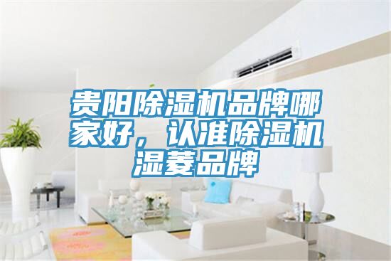 貴陽黄瓜视频在线播放品牌哪家好，認準黄瓜视频在线播放濕菱品牌