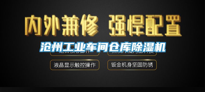 滄州工業車間倉庫黄瓜视频在线播放