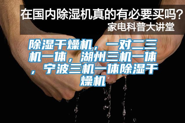 除濕幹燥機，一對二三機一體，湖州三機一體，寧波三機一體除濕幹燥機