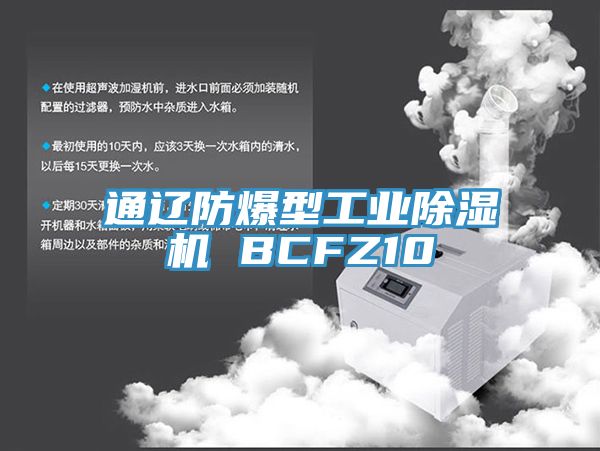 通遼防爆型工業黄瓜视频在线播放 BCFZ10