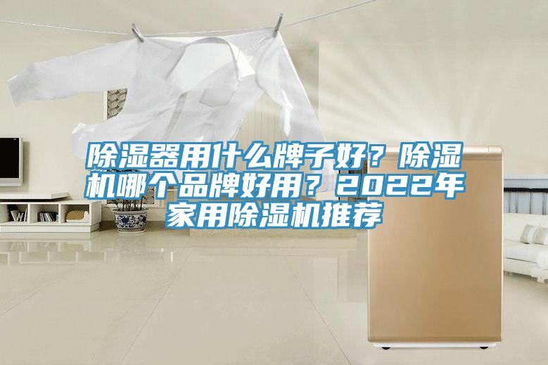 除濕器用什麽牌子好？黄瓜视频在线播放哪個品牌好用？2022年家用黄瓜视频在线播放推薦