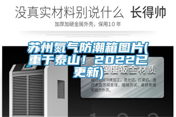 蘇州氮氣防潮箱圖片(重於泰山！2022已更新)