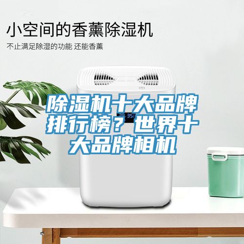 黄瓜视频在线播放十大品牌排行榜？世界十大品牌相機