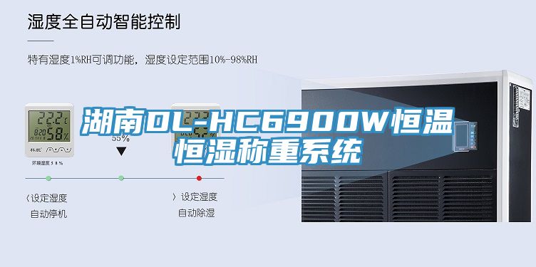 湖南DL-HC6900W恒溫恒濕稱重係統