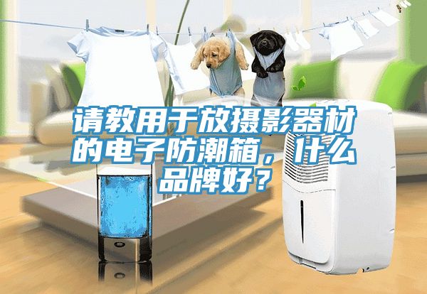 請教用於放攝影器材的電子防潮箱，什麽品牌好？