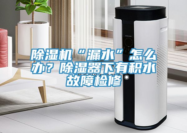 黄瓜视频在线播放“漏水”怎麽辦？除濕器下有積水故障檢修