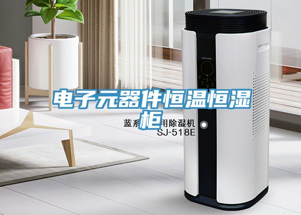 電子元器件恒溫恒濕櫃