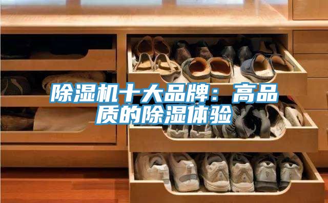 黄瓜视频在线播放十大品牌：高品質的除濕體驗