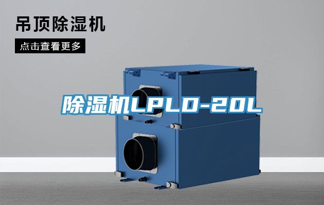 黄瓜视频在线播放LPLD-20L