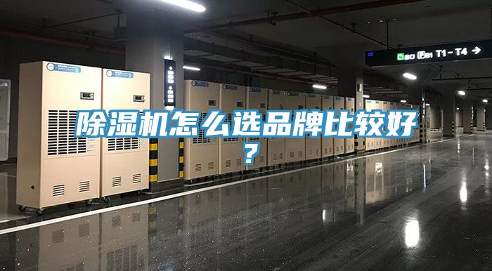 黄瓜视频在线播放怎麽選品牌比較好？