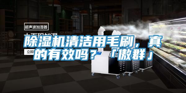 黄瓜视频在线播放清潔用毛刷，真的有效嗎？「傲群」