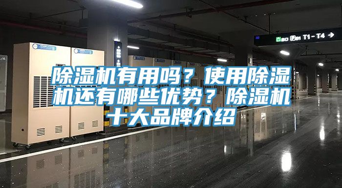 黄瓜视频在线播放有用嗎？使用黄瓜视频在线播放還有哪些優勢？黄瓜视频在线播放十大品牌介紹