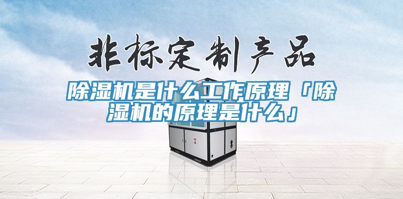 黄瓜视频在线播放是什麽工作原理「黄瓜视频在线播放的原理是什麽」